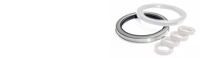 Type B Oil Seals and Rotary Seals at Polymax